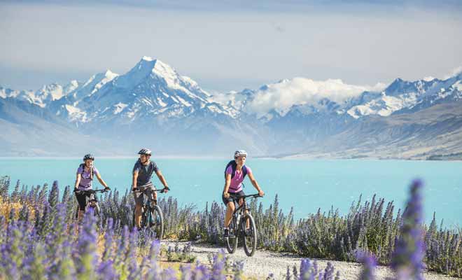 Le vélo se pratique quelle que soit la saison en Nouvelle-Zélande, mais les plus belles balades sont à réaliser au printemps quand les vallées se couvrent de fleurs, ou en été quand les températures sont plus agréables.