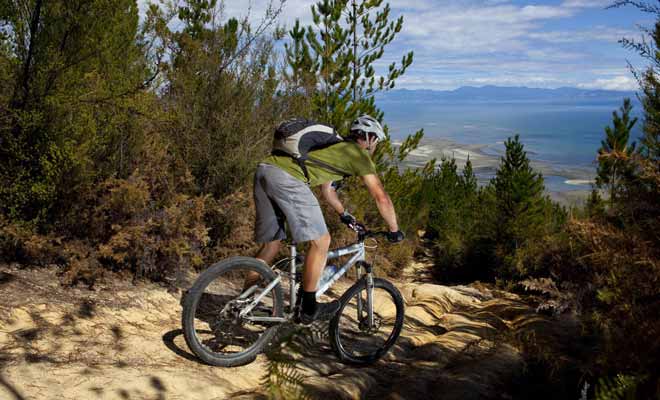 Même si vous ne pratiquez le vélo que très occasionnellement, vous trouverez en Nouvelle-Zélande des pistes à votre niveau.