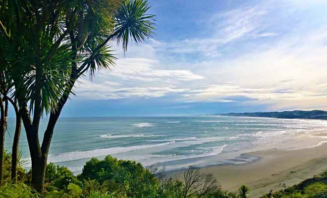 Située sur la Surf Highway, Raglan est mondialement célèbre pour la qualité de ses vagues.