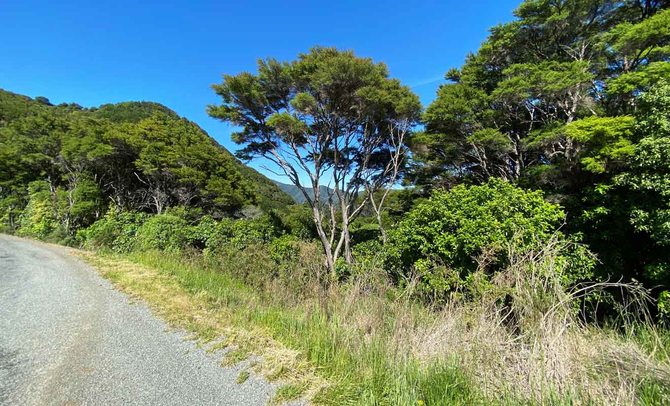 La plupart des voyageurs poursuivent leur route vers Abel Tasman ou Picton sans connaître l'existence de French Pass.