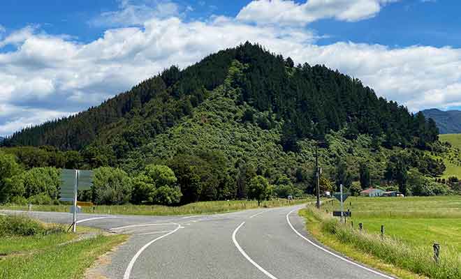 Toute cette région n'a pas été déboisée et sa végétation est plus importante qu'ailleurs dans le Marlborough.