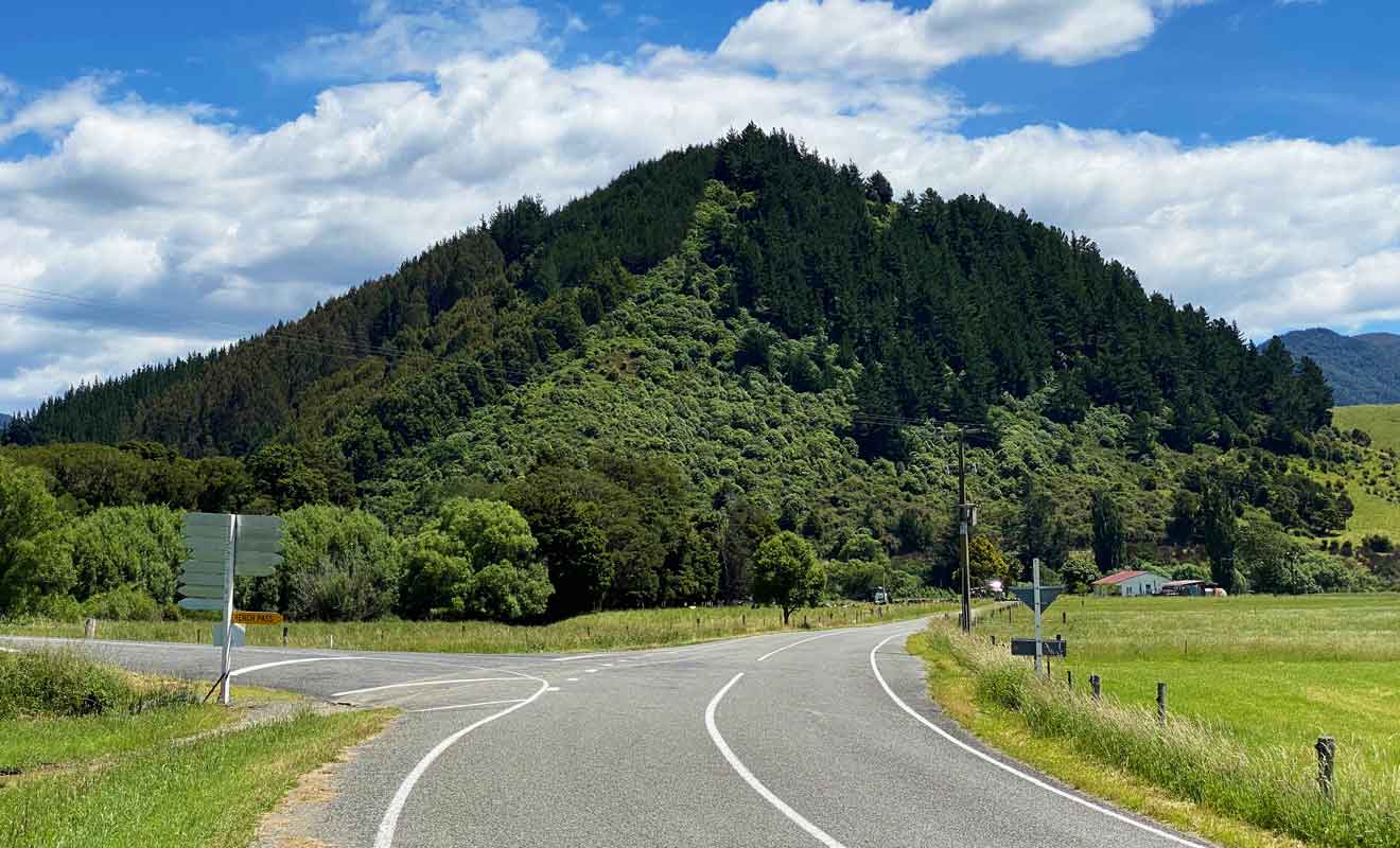 Toute cette région n'a pas été déboisée et sa végétation est plus importante qu'ailleurs dans le Marlborough.
