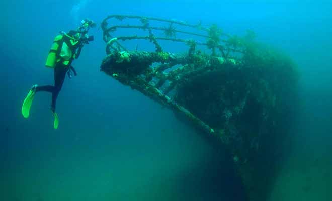 L'épave du Rainbow Warrior est devenue un récif pour les poissons. Des compagnies de plongée sous-marine organisent des sorties pour observer ce qui reste du navire de Green Peace.
