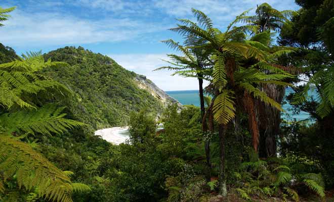 Le parc national de Kahurangi est le deuxième de Nouvelle-Zélande par sa superficie et l'un des plus varié avec une succession de montagne, forêts et plages à franchir.