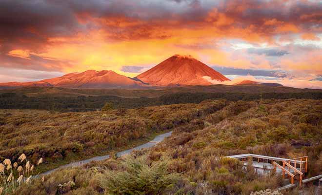 Après une longue journée de marche (par exemple au Tongariro Alpine Crossing), vous serez naturellement fatigué (sauf si vous êtes bien entraîné) et vous trouverez le sommeil facilement en vous couchant de bonne heure. Dans ces conditions, la réservation d'un hôtel haut de gamme n'est pas indispensable, car vous n'en profiterez pas vraiment.