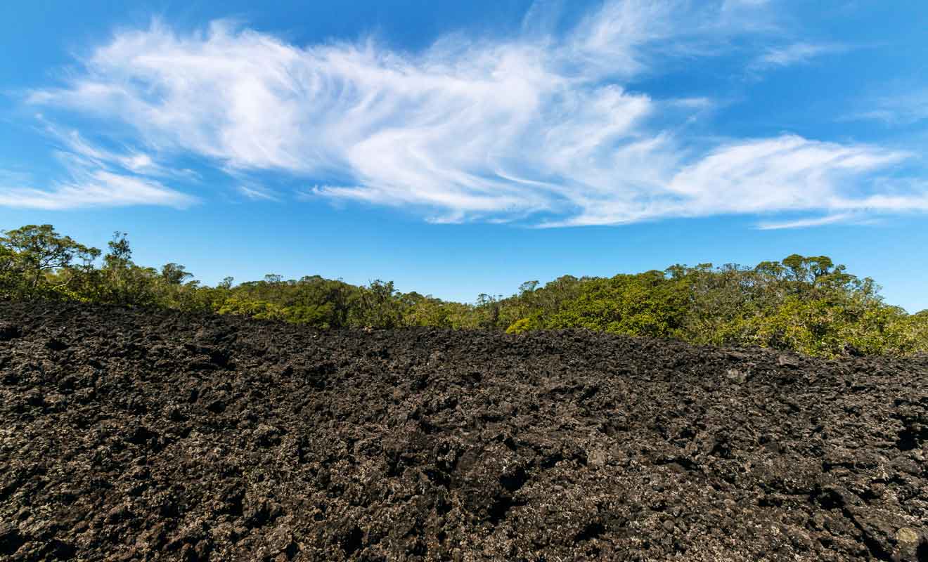 rangitoto-island-alt-5816