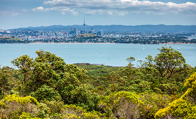 Du haut du volcan, on admire les navires et voiliers qui naviguent dans le Golfe d'Hauraki.