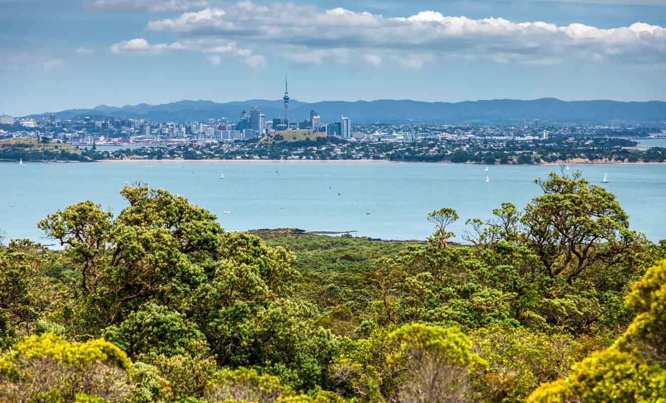 Du haut du volcan, on admire les navires et voiliers qui naviguent dans le Golfe d'Hauraki.