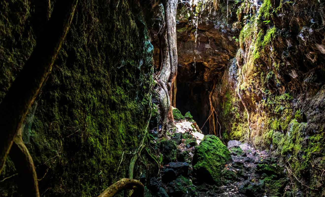 Comptez un petit quart d'heure de marche supplémentaire pour explorer les tunnels de lave.