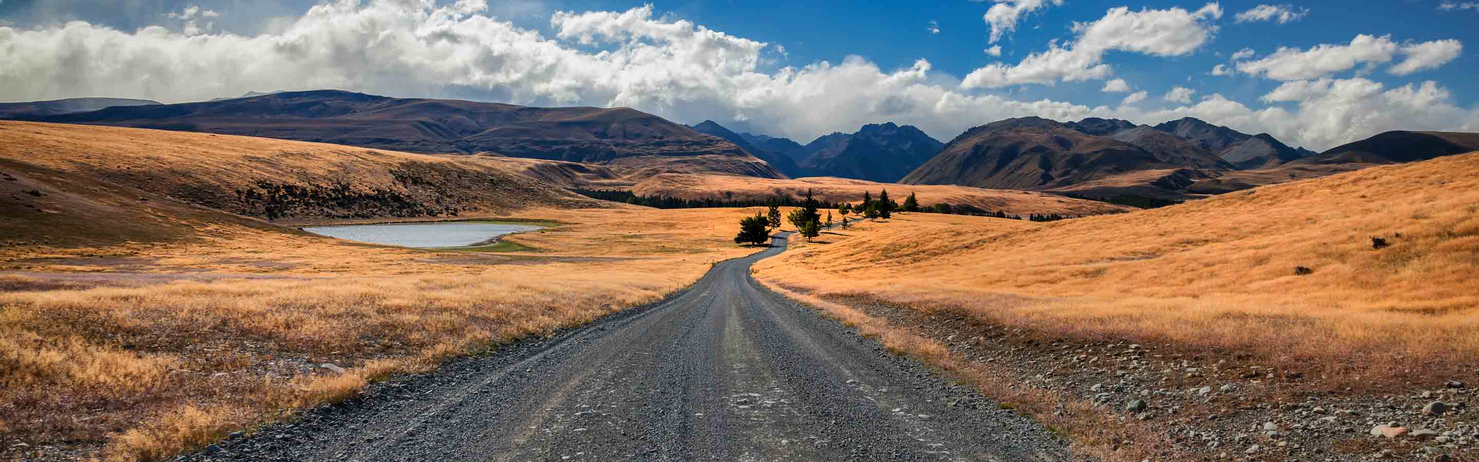 Auto auf einer Straße in Neuseeland.
