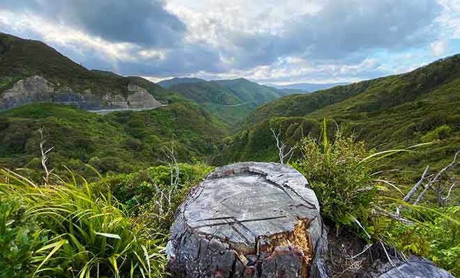 Plusieurs chaines de montagne obligent les visiteurs à parcourir 150 km au lieu de 50 pour rejoindre Cape Palliser.