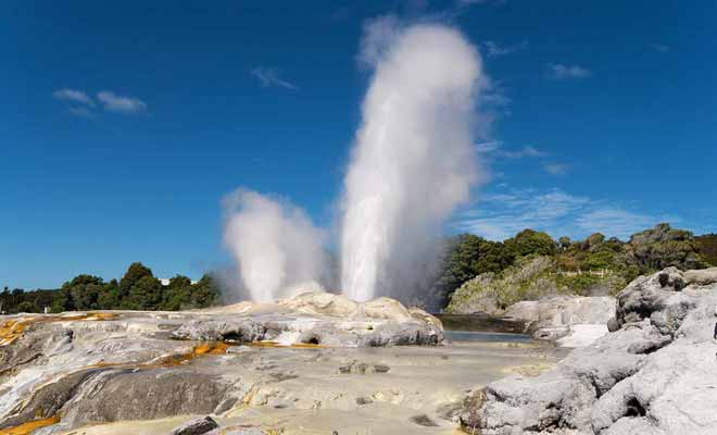 Le parc de Te Puia à Rotorua offre tout une collection de bains bouillonnants et de geysers puissants.