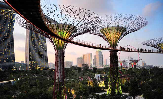 Les jardins de Singapour sont splendides. Si votre escale vous laisse suffisamment de temps, ce serait dommage de manquer cette visite.