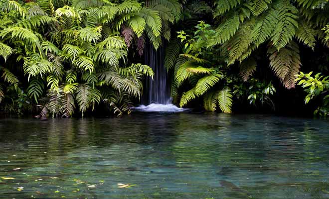 Les innombrables sources thermales chaudes permettent de se baigner toute l'année. Sur l'île du Nord, il faut toutefois éviter de mettre la tête sous l'eau à cause d'une amibe dangereuse pour la santé.