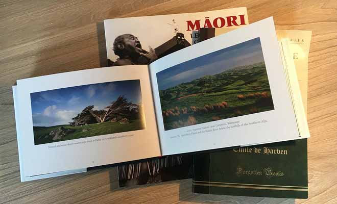 Si vous voulez vraiment acheter des livres, commandez-les plutôt sur Internet, sinon ils vont vous encombrer pendant tout le voyage.