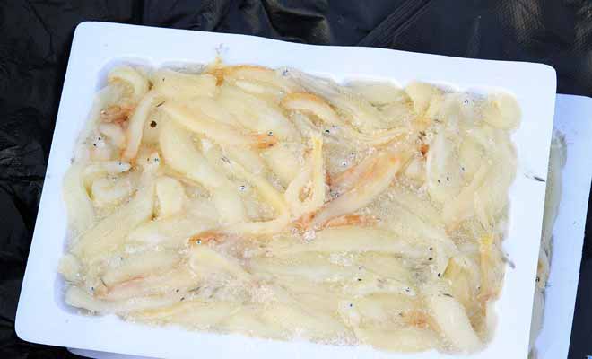 Le Whitebait congelé ne peut évidemment pas rivaliser avec une pêche du jour ! Quitte à goûter, autant le faire avec un produit qui n'est pas surgelé !