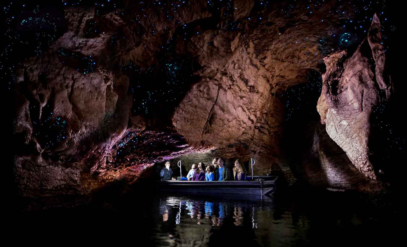 Contempler les milliers de vers luisants qui brillent dans l'obscurité procure la sensation d'admirer la Voie lactée.