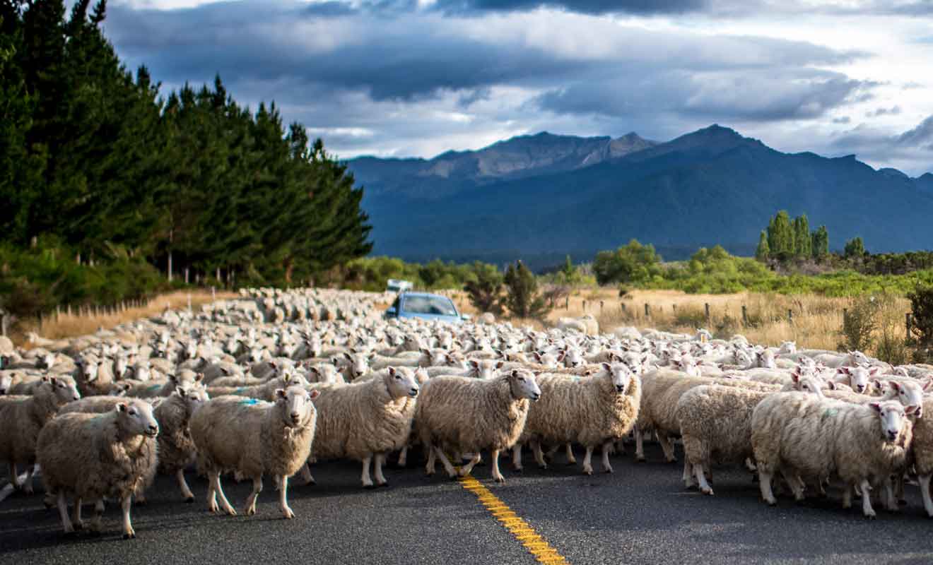 Faire la navette sur une journée entre Queenstown et le Milford Sound n'est pas conseillé.