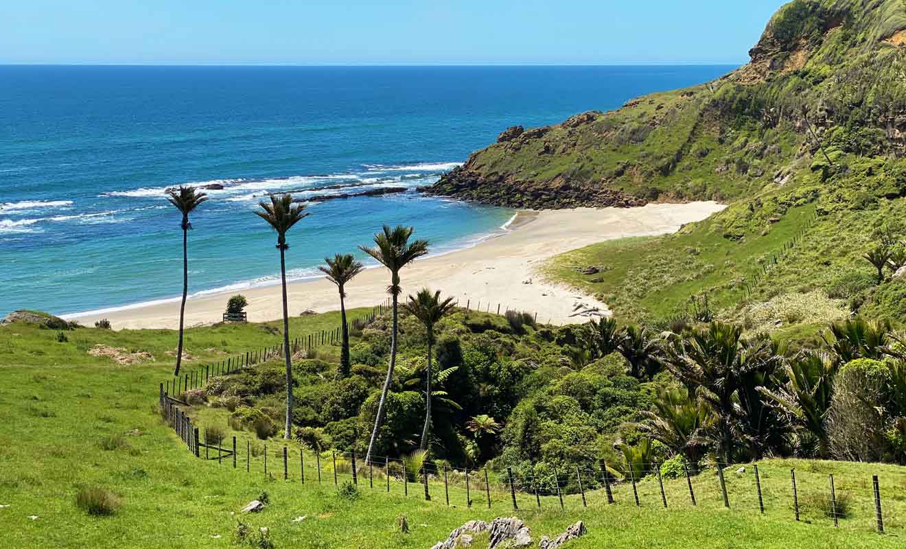 Depuis le cottage, il suffit d'une vingtaine de minutes pour rejoindre la plage de Gilbert Beach.