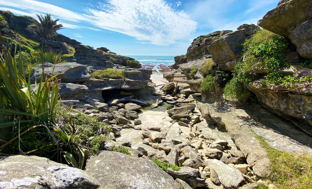 Il existe une infinité de chemins à emprunter pour explorer Te Hapu.