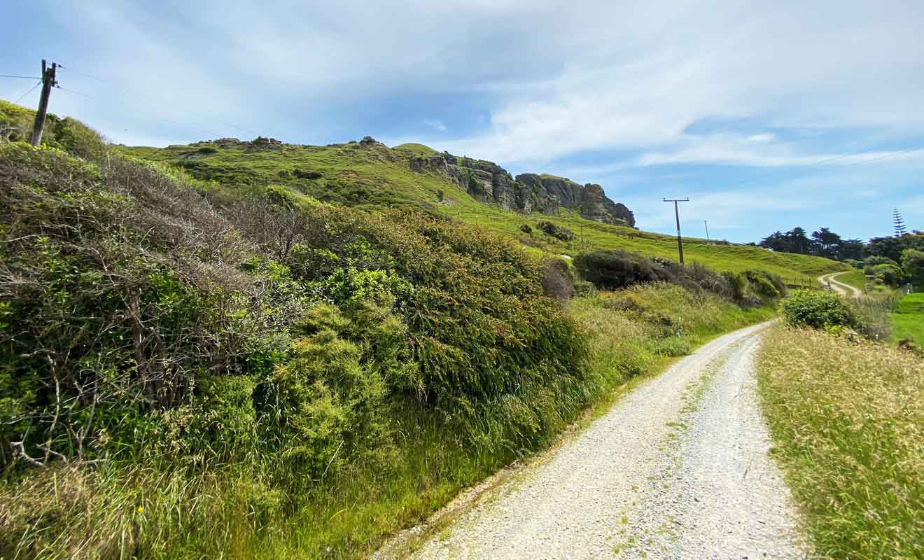 Te Hapu accueille les visiteurs depuis 1978.