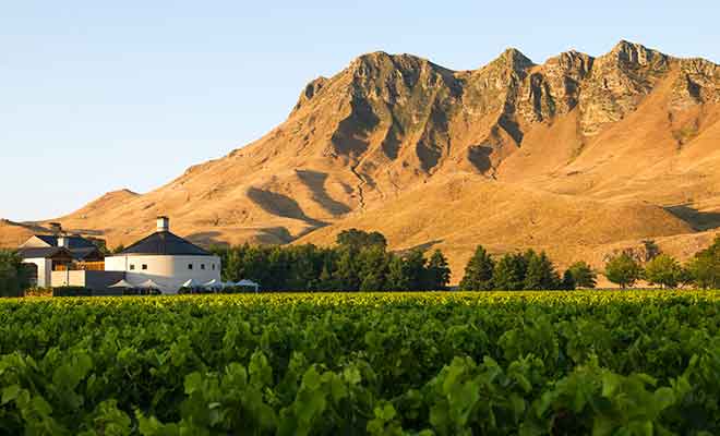 Craggy Range Vineyards est l'un des meilleurs vignobles de la baie de Hawke.