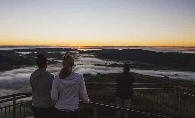 Dire que l'on peut contempler pareille merveille à seulement 20 km de Napier.