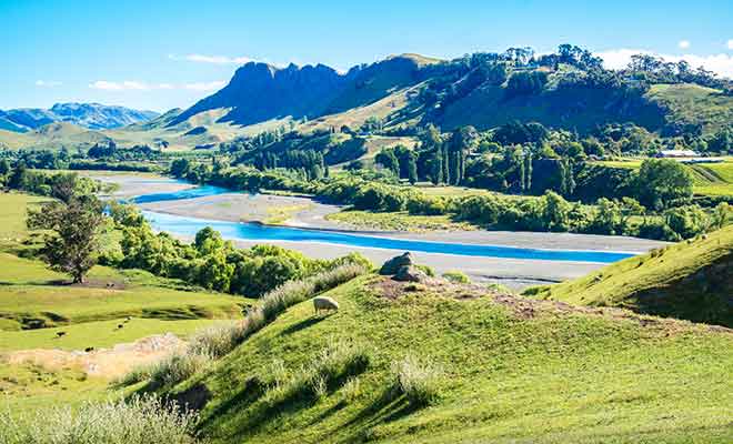 Le Te Mata Peak offre une vue imprenable sur Hawke's Bay.