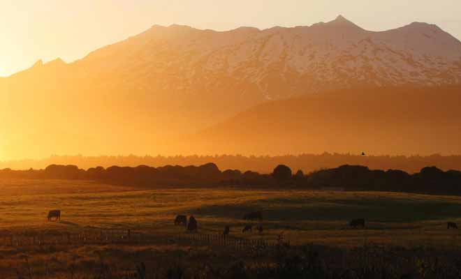 On a tendance à oublier que le Tongariro est situé dans un parc national. J'espère que vous aurez la chance d'admirer le coucher de soleil sur la vallée ! Mais après une journée de marche épuisante, il y a des chances pour que deviez vous contenter de cette photo.