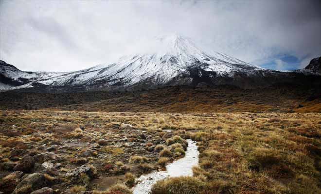 On peut pratiquement parler de désert, avec un sol volcanique rocailleux où poussent difficilement quelques bruyères et de la mousse. N'oubliez pas que la région a servi de décor naturel pour représenter le Mordor dans le Seigneur des anneaux.