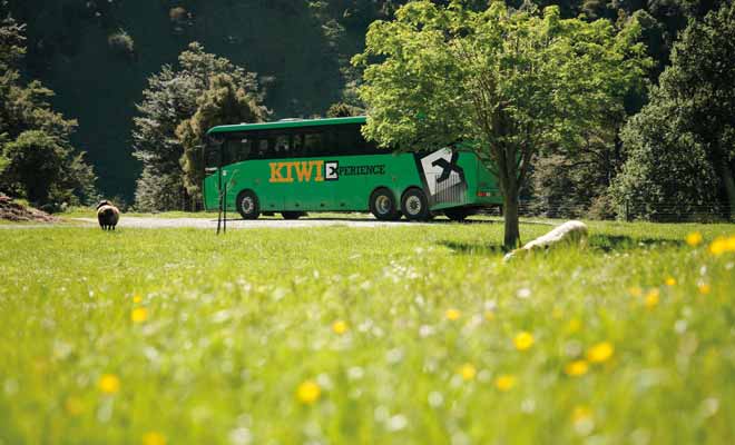 Le bus n'est pas le mode de transport le plus rapide, mais le réseau très étendu permet de se rendre partout dans le pays. Ce n'est pourtant pas le moyen le plus économique.