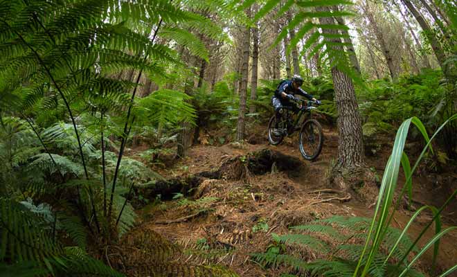 Partir faire du vélo en forêt ou en montagne sans se munir d'une carte serait totalement irresponsable, surtout si la météo venait à changer ou si vous ne retrouviez plus votre chemin dans une zone où les téléphones portables ne captent pas de signal.