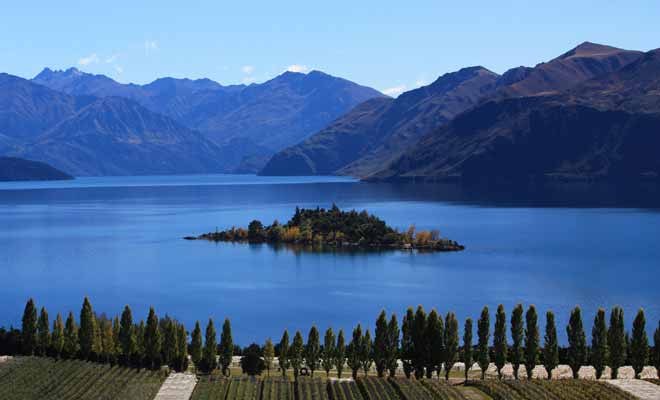 Le vignoble de Rippon Vineyard est la propriété de Nick Mills et se trouve juste en face de l'île de Ruby Island du lac Wanaka. Vous pouvez vous y rendre à vélo ou en voiture (il y a un parking gratuit).