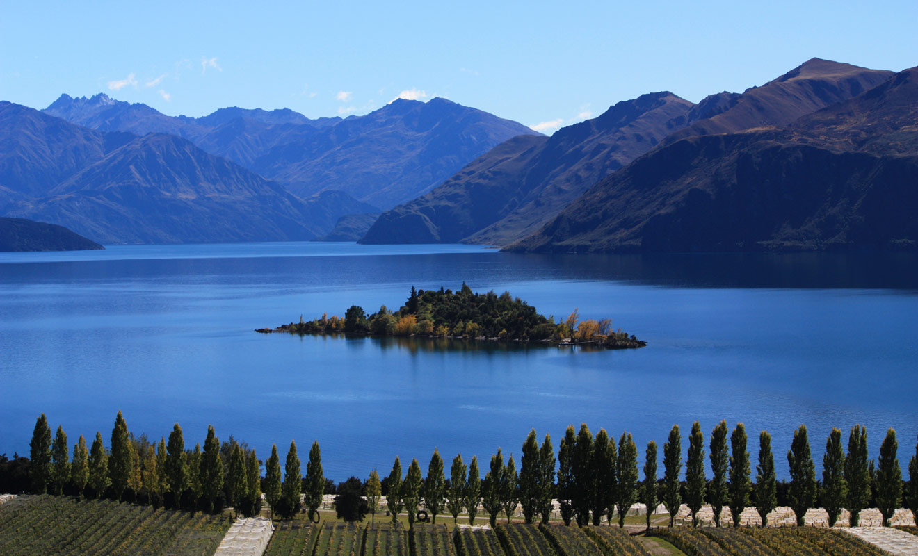 Le vignoble de Rippon Vineyard est la propriété de Nick Mills et se trouve juste en face de l'île de Ruby Island du lac Wanaka. Vous pouvez vous y rendre à vélo ou en voiture (il y a un parking gratuit).