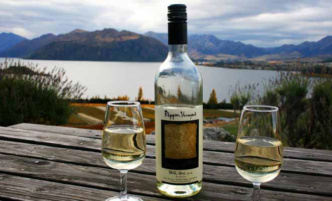 Le sauvignon blanc de Nouvelle-Zélande est sans doute le meilleur de sa catégorie. Mais d'autres crus comme le Pinot noir sont tout aussi excellents.