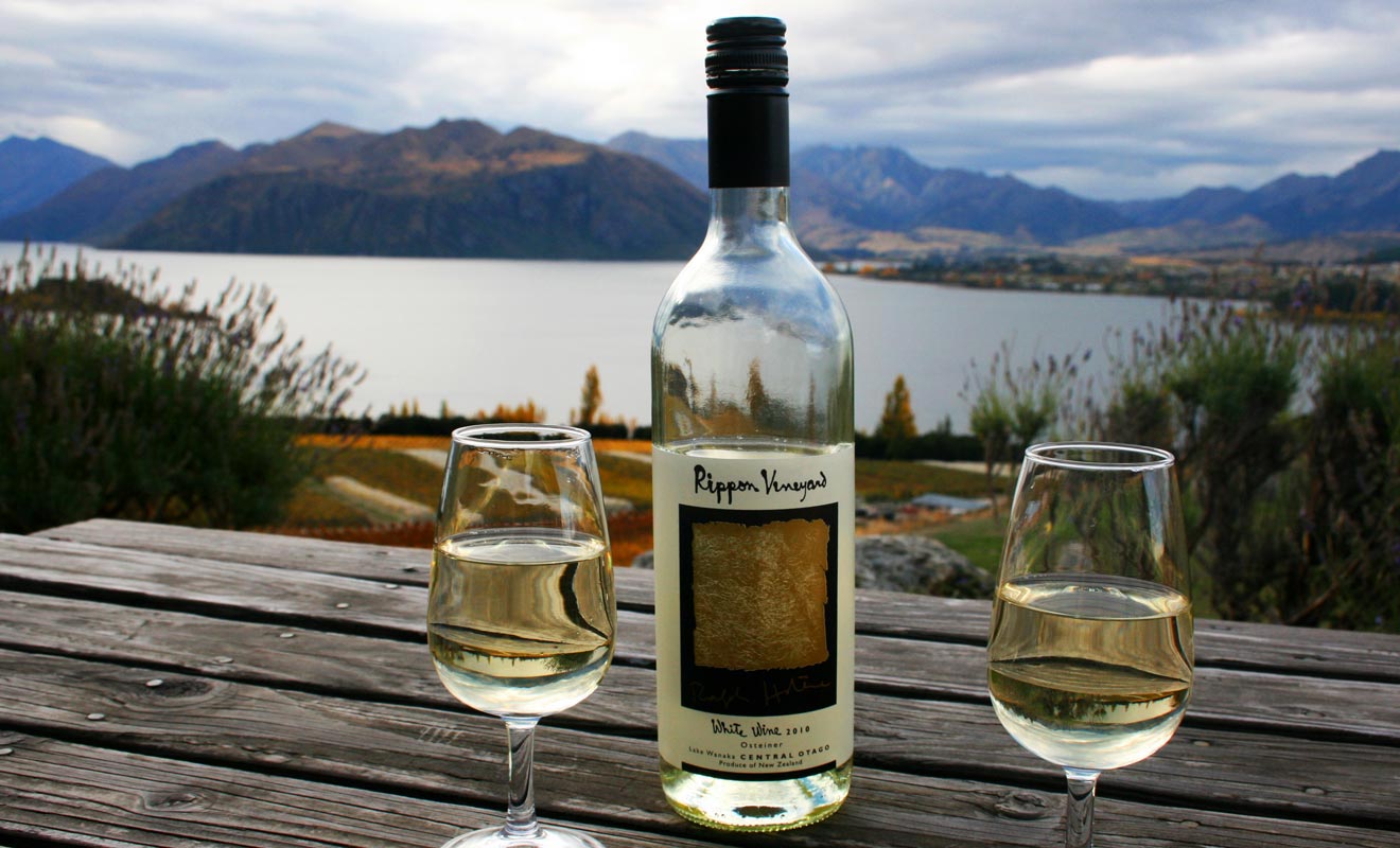 Le sauvignon blanc de Nouvelle-Zélande est sans doute le meilleur de sa catégorie. Mais d'autres crus comme le Pinot noir sont tout aussi excellents.