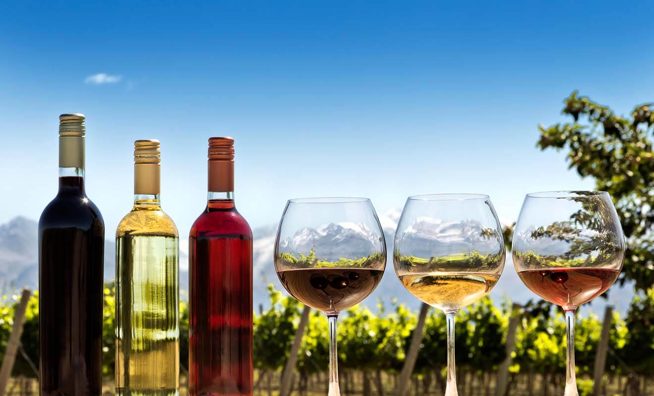 Si vous aimez faire la tournée des caves à vins, vous allez être servi ! Il existe de nombreuses région viticoles, au Nord comme au Sud.