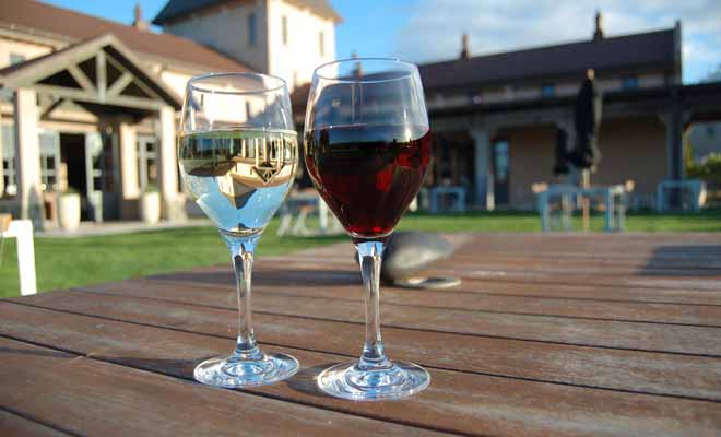 Peu de Français ont déjà eu l'occasion de goûter les vins de Nouvelle-Zélande. Pourtant, les productions néo-zélandaises sont désormais reconnues à leur juste valeur sur la scène internationale.