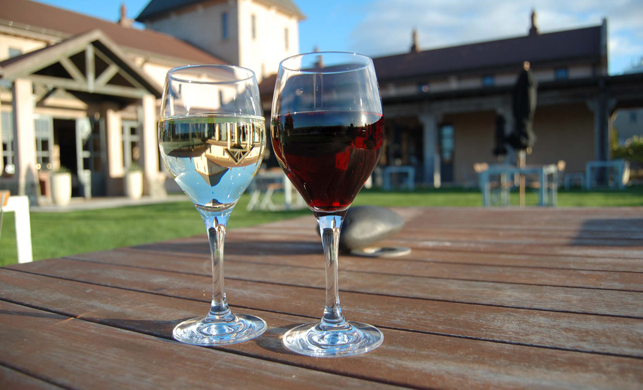 Peu de Français ont déjà eu l'occasion de goûter les vins de Nouvelle-Zélande. Pourtant, les productions néo-zélandaises sont désormais reconnues à leur juste valeur sur la scène internationale.