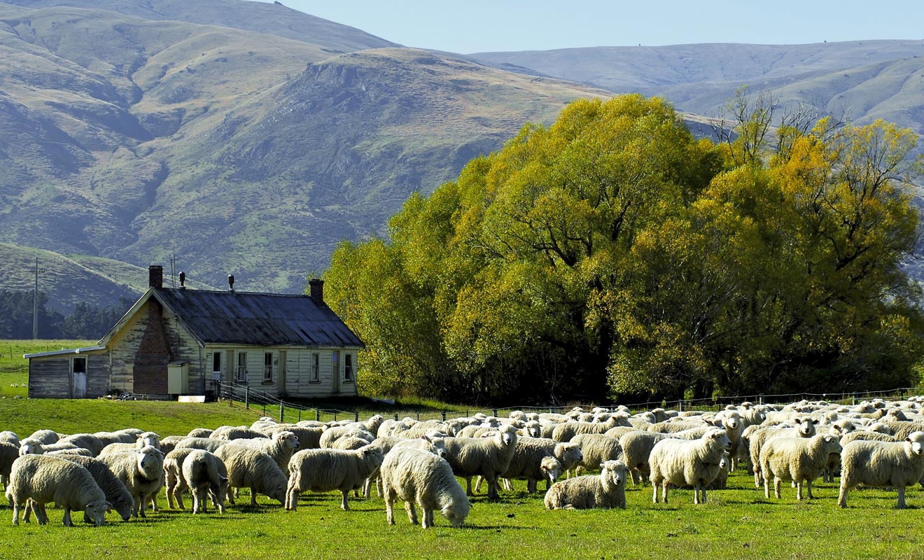 En règle générale, le travail a lieu le matin et les loisirs l'après-midi. Mais tous les arrangements sont possibles selon la nature de l'exploitation.