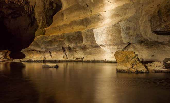 Selon la météo, il serait préférable de porter des bottes ou des sandales en plastique pour explorer les Waipu Caves car le sol peut être humide ou sous l'eau. La lampe torche est indispensable !