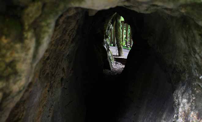 On trouve de nombreuses grottes et cavernes sur les sentiers de la forêt. La plupart peuvent être explorées sans risque du moment qu'aucun panneau n'en interdit l'accès.