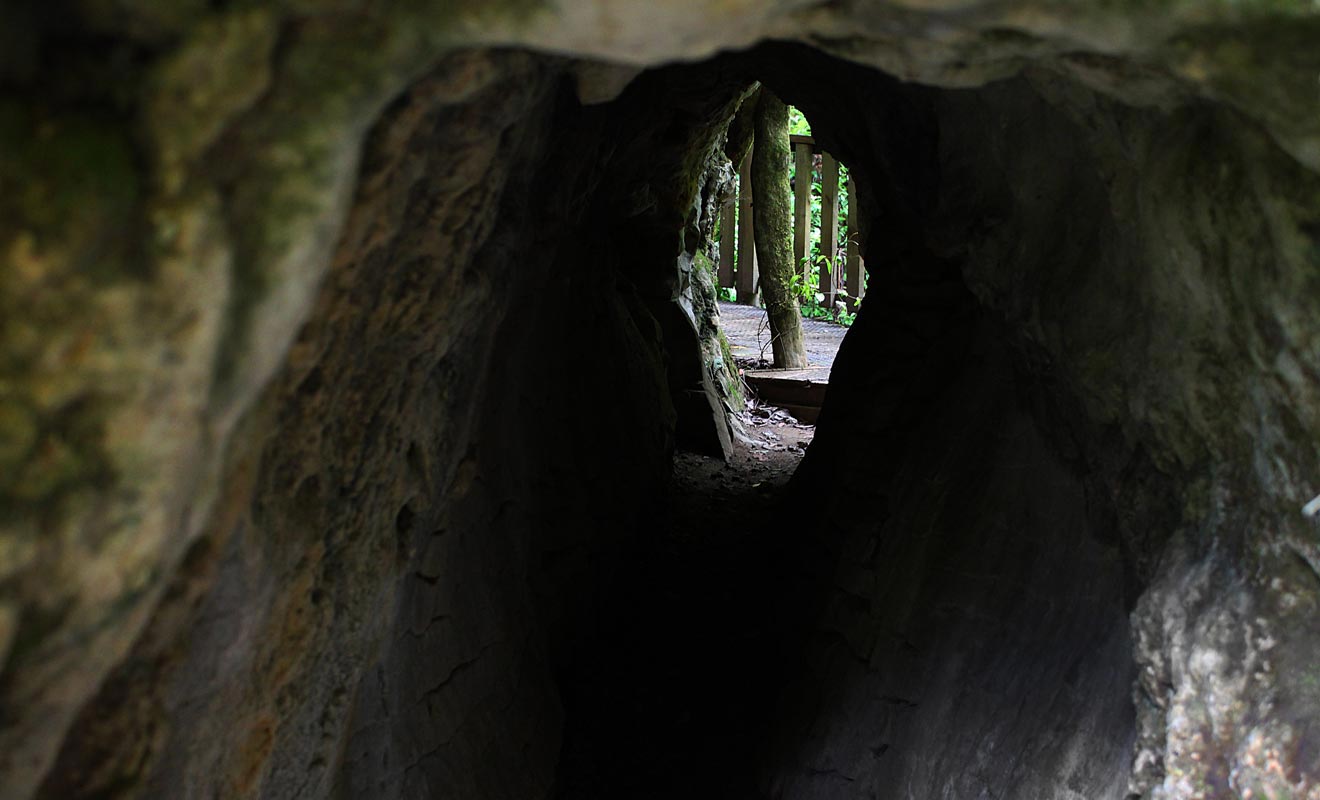 On trouve de nombreuses grottes et cavernes sur les sentiers de la forêt. La plupart peuvent être explorées sans risque du moment qu'aucun panneau n'en interdit l'accès.