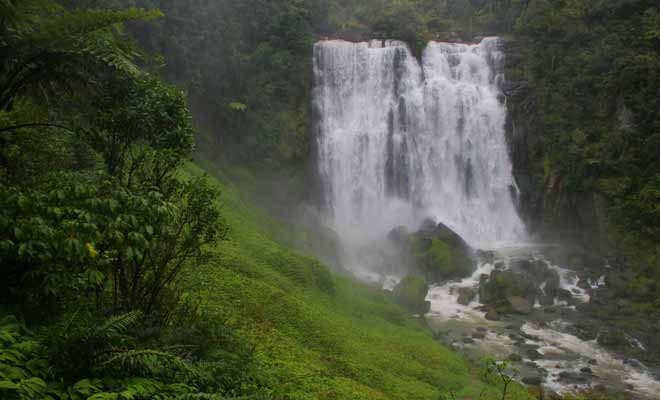 Que vous aimiez ou non visiter des grottes de Waitomo, pensez à faire un détour pour admirer les chutes de Marakopa.