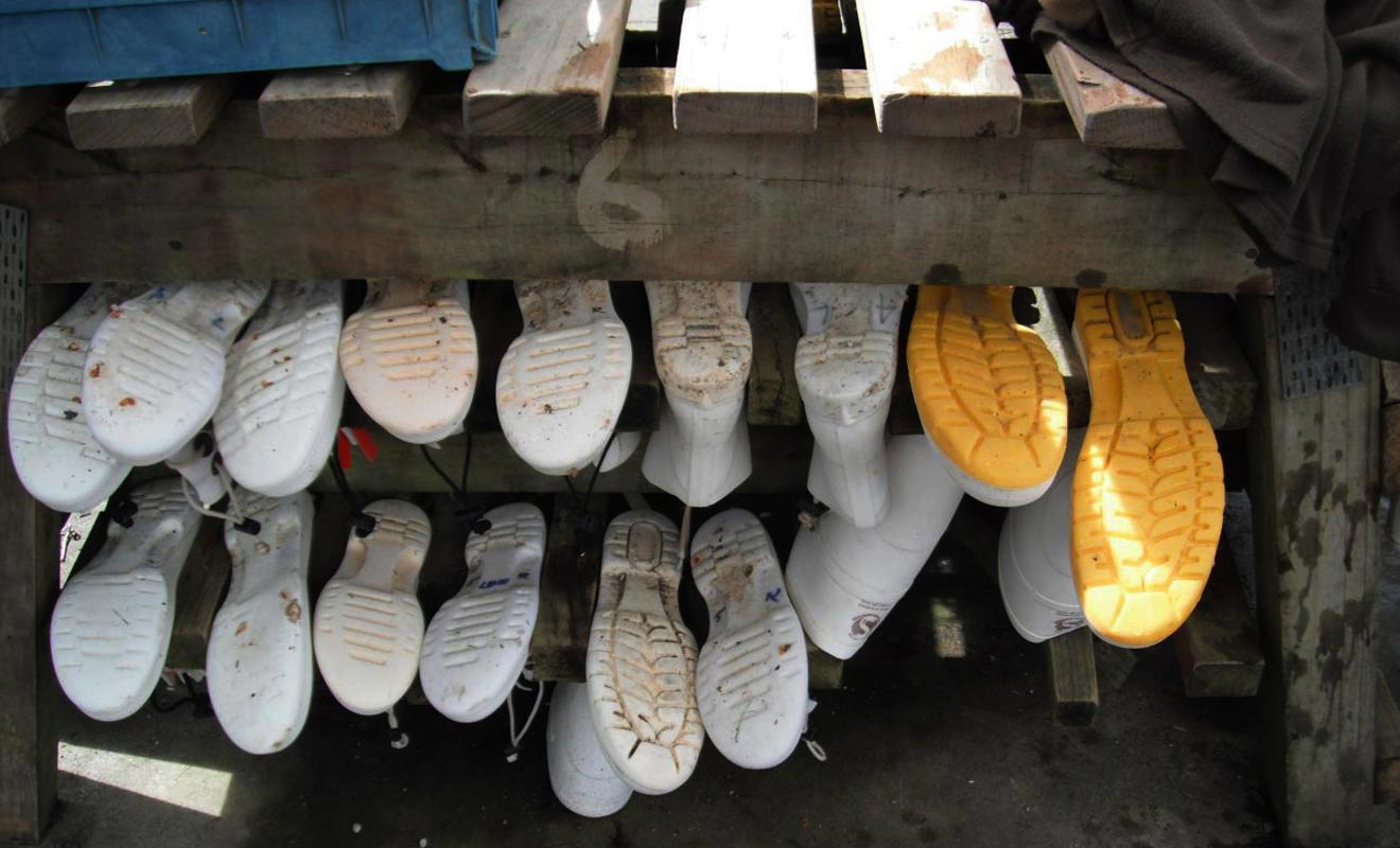 Les bottes en caoutchouc sont fournies, il suffit d'indiquer sa pointure.