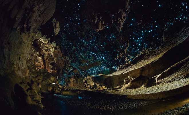 L'érosion a creusé des grottes dans le calcaire durant des millions d'années. Certaines peuvent se visiter en compagnie d'un guide, et le plafond est recouvert de vers luisants qui brillent dans l'obscurité.