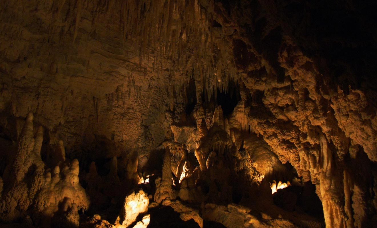 La visite des Glowworm caves permet de s'enfoncer profondément sous la surface. Un dédale de grottes constellées de stalactites et de vers luisants attend les explorateurs.