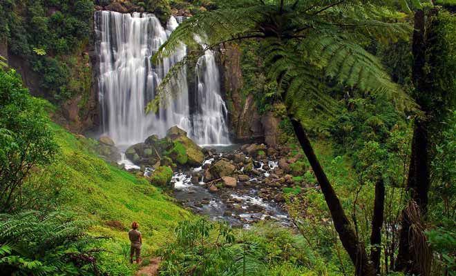 Les grottes de Waitomo ne sont pas la seule attraction de la région. Les Marokopa Falls offrent un bon exemple des merveilles qui se cachent en forêt.