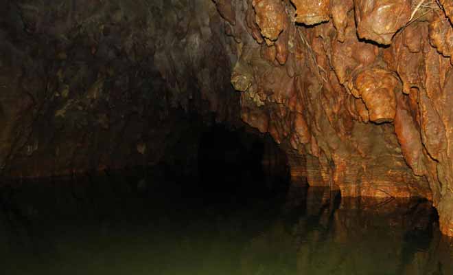 La rivière souterraine de Glowworms Caves traverse des grottes remplies de vers luisants avant de rejoindre la surface à l'air libre.