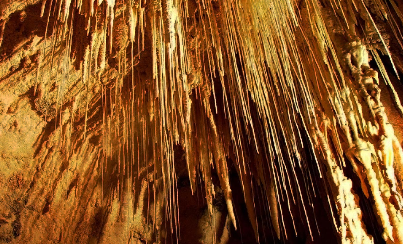 Il est strictement interdit de toucher les stalactites, car elles sont très fragiles. Ceux qui ne respectent pas les consignes auront droit à une forte amende.